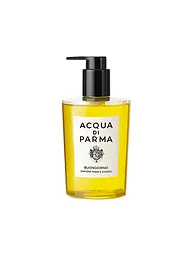 ACQUA DI PARMA | Buongiorno Gel de Manos y Cuerpo 300ml | Sin color