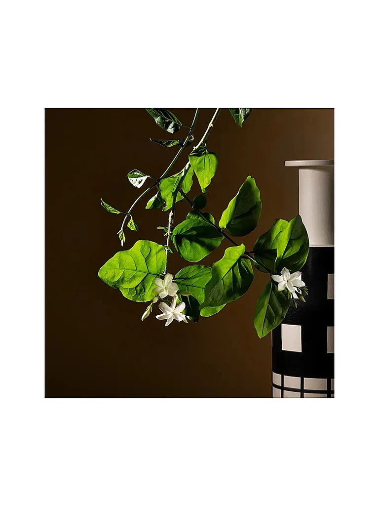 ACQUA DI PARMA | Gelsomino A Freddo Ambrosia Extrait de Parfum 50ml | Sin color
