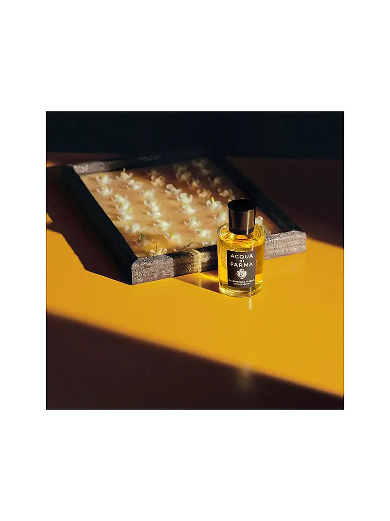 ACQUA DI PARMA | Gelsomino A Freddo Eau de Parfum 50ml | Sin color