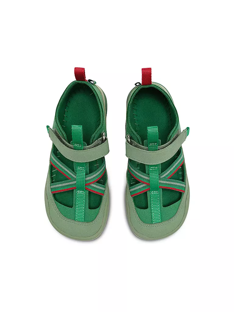 AFFENZAHN | Sandalias infantiles BREEZY FROSCH | grün