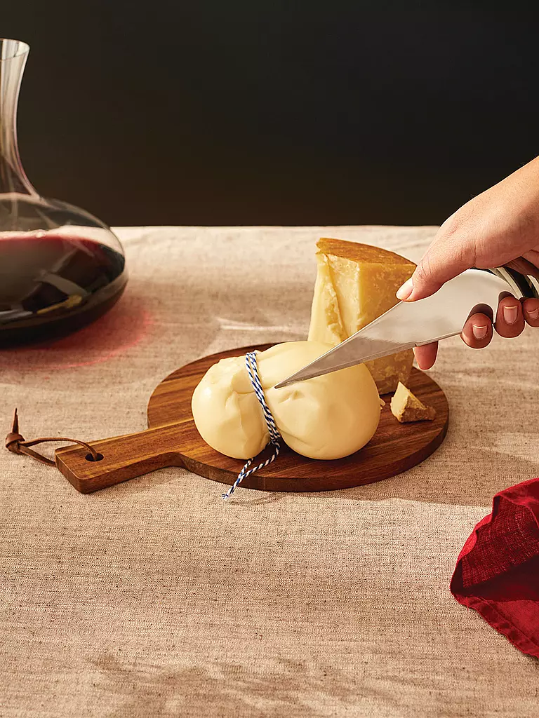 ALESSI | Cuchillo para queso "Antechinus" | Plata