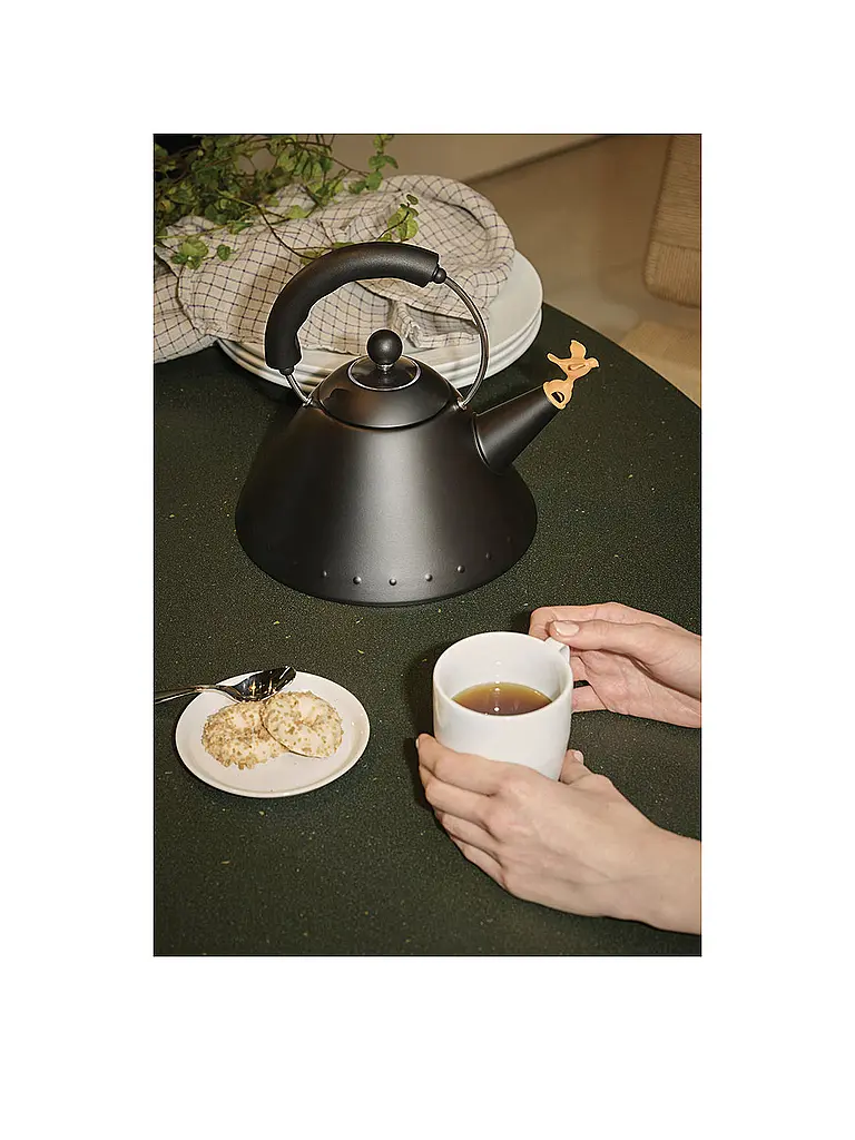 ALESSI | Nombre del producto: Hervidor de agua 2l Michael Graves Negro | 