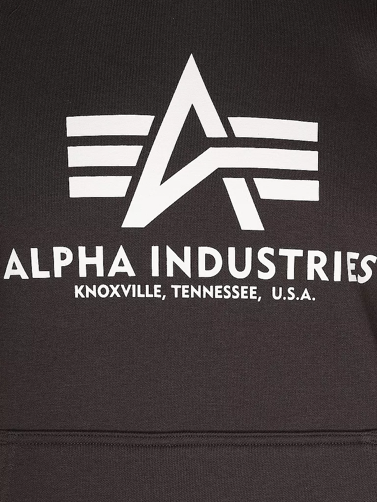 ALPHA INDUSTRIES | Kapuzensweater - Hoodie | Marrón