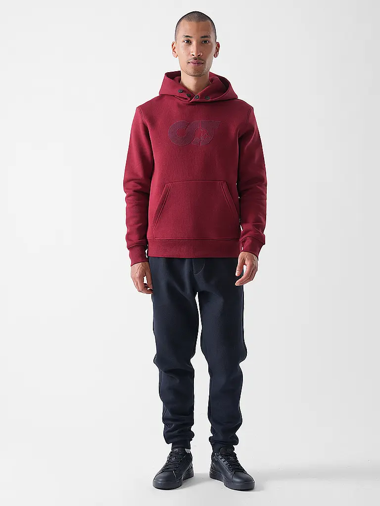 ALPHATAURI | Kapuzensweater - Sudadera con capucha SHERO | Rojo oscuro