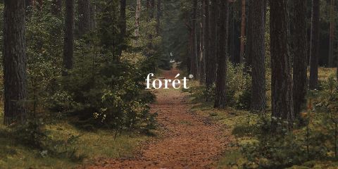Un tranquilo sendero forestal, rodeado de árboles altos y densos y una exuberante vegetación. El suelo está cubierto de hojas y la atmósfera se siente tranquila y acogedora. La palabra "forét" destaca prominentemente en el centro de la imagen.