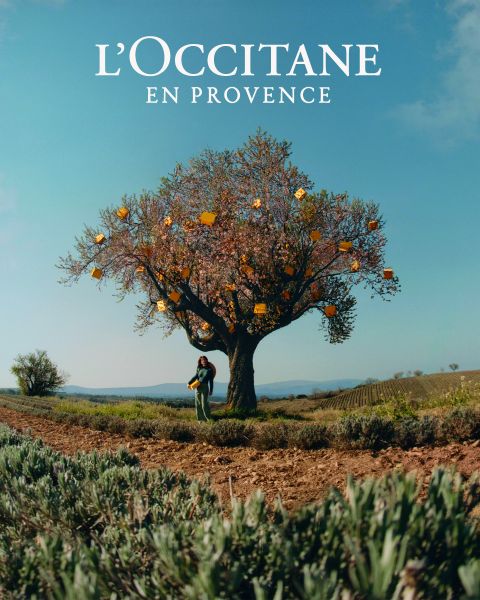 Un grupo de personas están juntas en un campo de lavanda, tomándose de las manos bajo un cielo despejado. Sonríen a la cámara, rodeados de brillantes flores púrpuras. Abajo se ve la marca "L'OCCITANE EN PROVENCE".