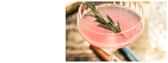 Un cóctel rosado, adornado con una ramita de romero en una copa tipo coupé, en la que se refleja la luz del sol.