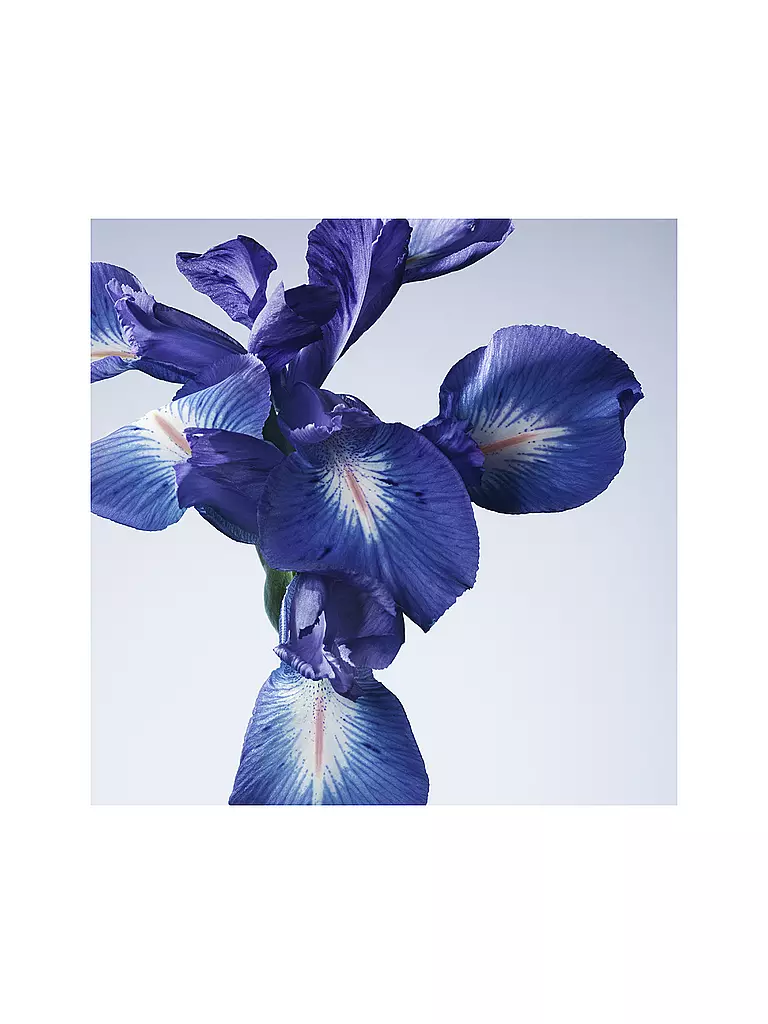 ARMANI/PRIVÉ | Iris Bleu Eau de Toilette 100 ml | keine Farbe