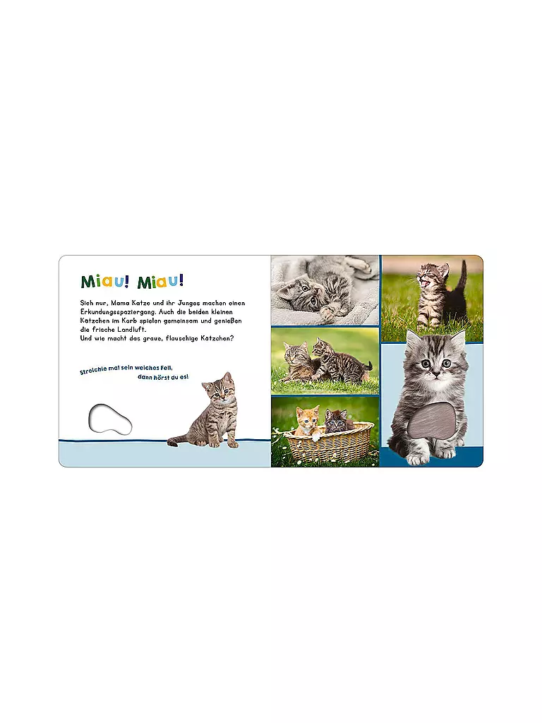 ARS EDITION VERLAG | Buch - Escucha, ¿quién puede ser? - Mis primeros animales | Sin color