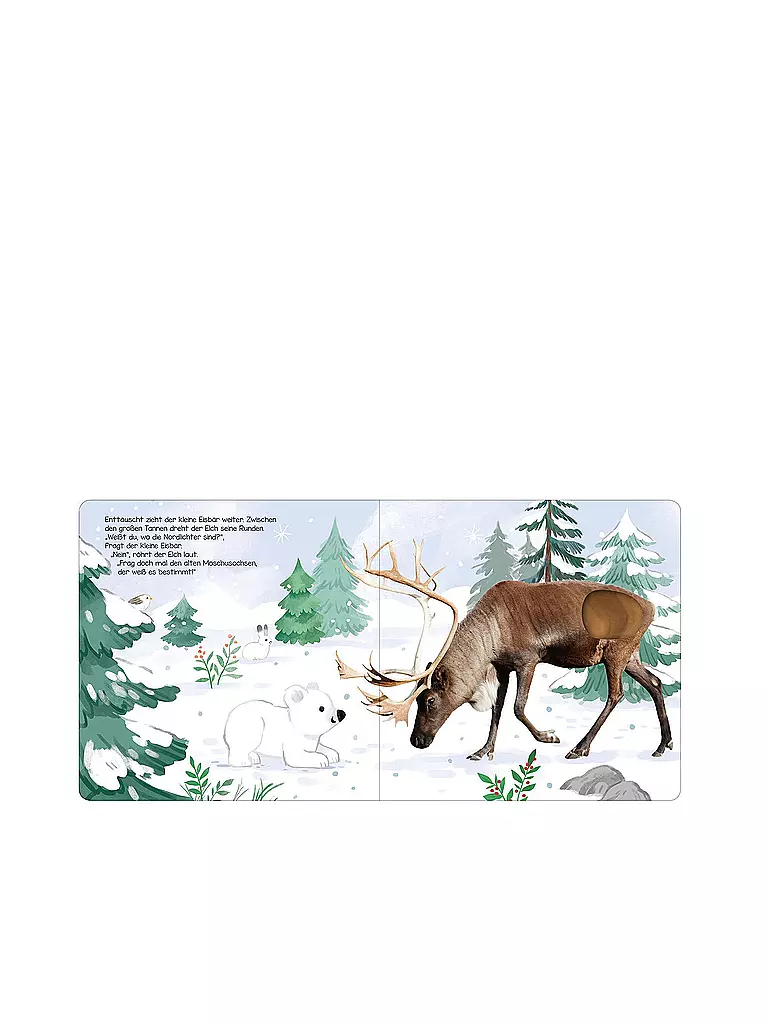 ARS EDITION VERLAG | Libro - ¡Escucha, osito polar! | Sin color