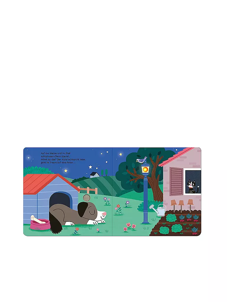 ARS EDITION VERLAG | Libro - ¡Mi libro de sonidos parpadeantes - ¡Buenas noches, granja! | Sin color