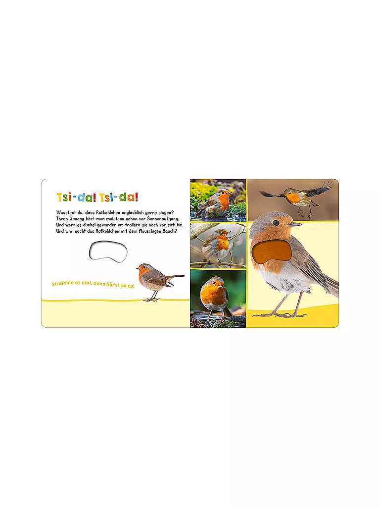 ARS EDITION VERLAG | Libro - Hör mal rein, wer kann das sein? - Vögel | Sin color