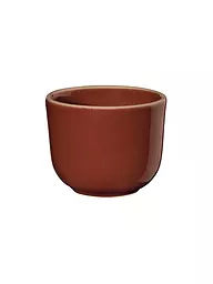 ASA SELECTION | Vaso 0,05l SEMANA Lobster | Rojo