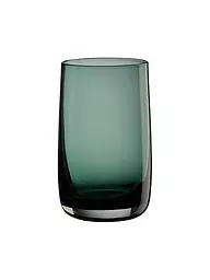ASA SELECTION | Vaso de tubo SARABI 0,4 l verde | Verde