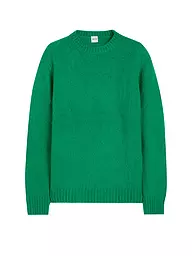 ASPESI | Jersey | Verde