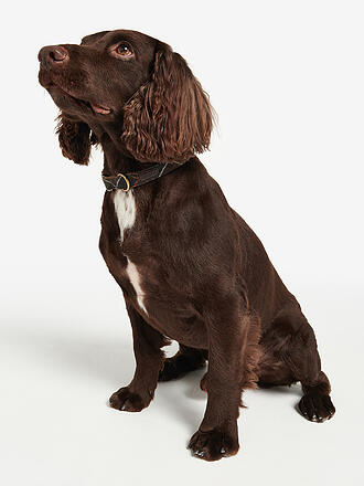 BARBOUR | Collar para perro de tartán