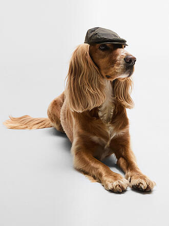 BARBOUR | Gorra para perro
