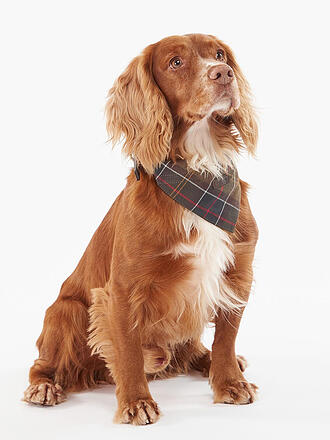 BARBOUR | Pañuelo para perro