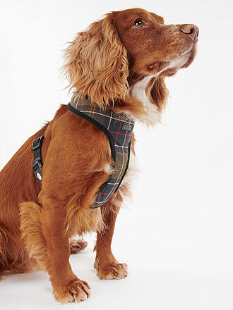 BARBOUR | Arnés para perros