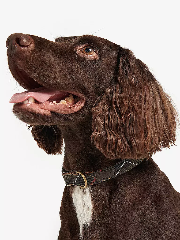 BARBOUR | Collar para perro de tartán | 