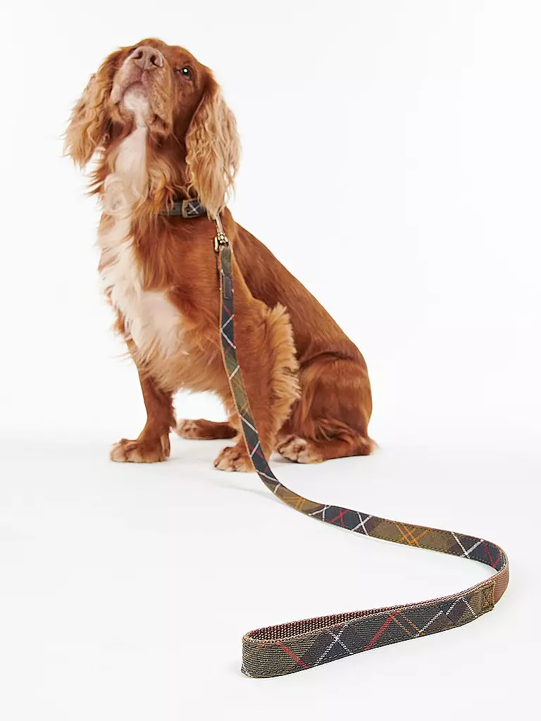 BARBOUR | Correa para perro Tartan | Oliva