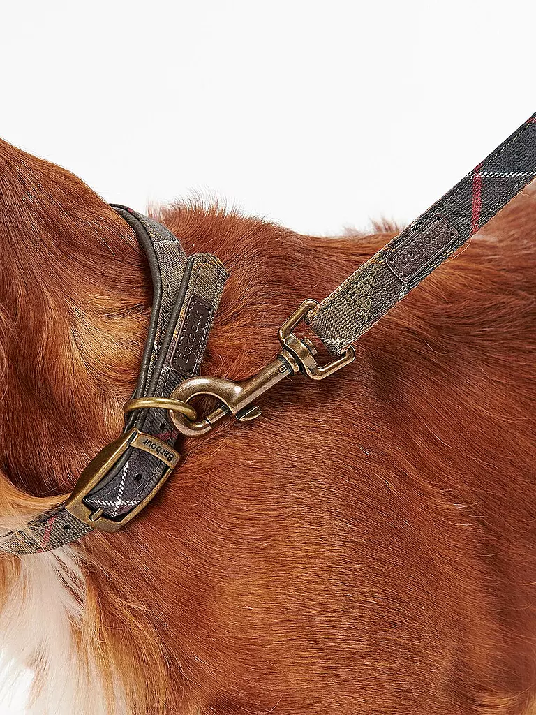 BARBOUR | Correa para perro Tartan | 