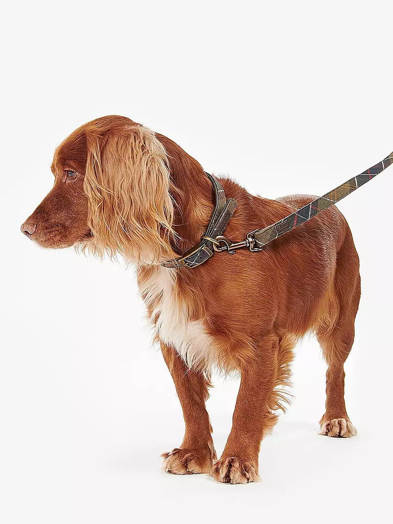 BARBOUR | Correa para perro Tartan | 