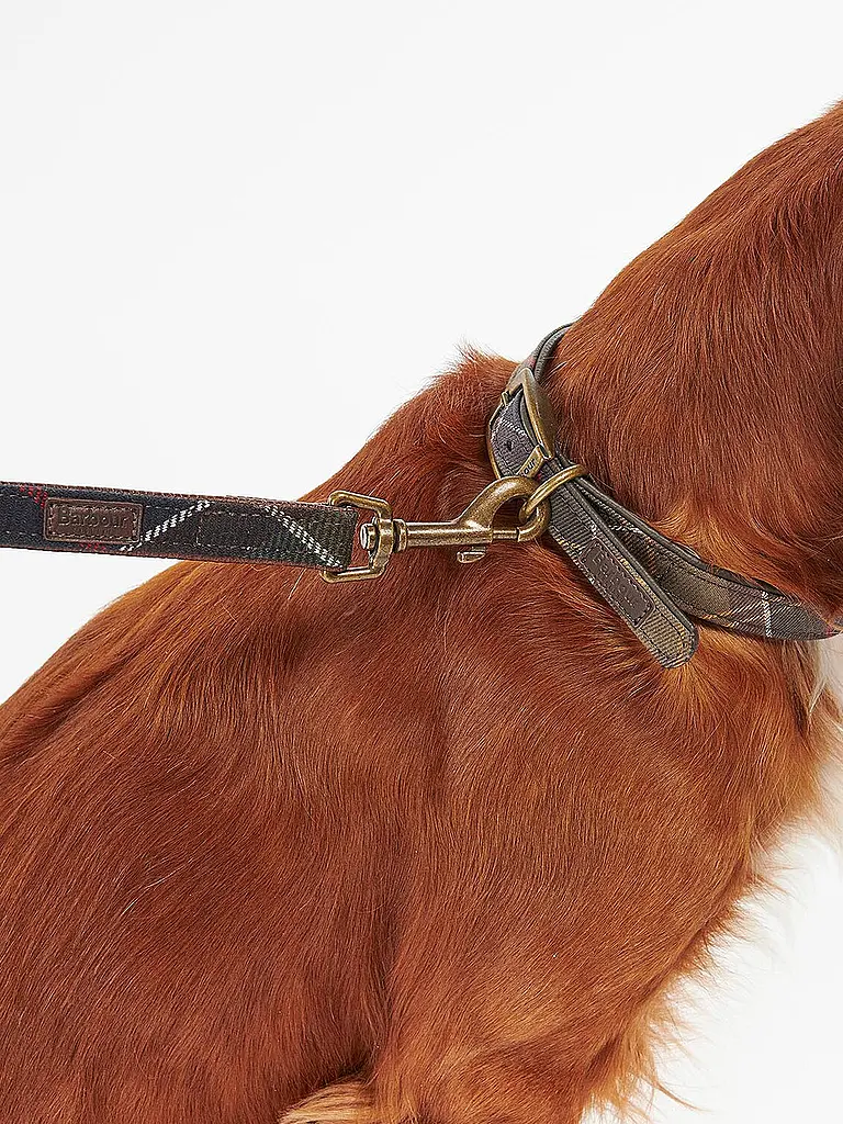 BARBOUR | Correa para perro | 