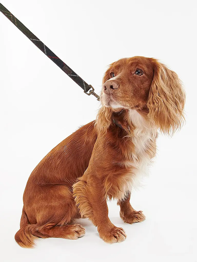 BARBOUR | Correa para perro | 