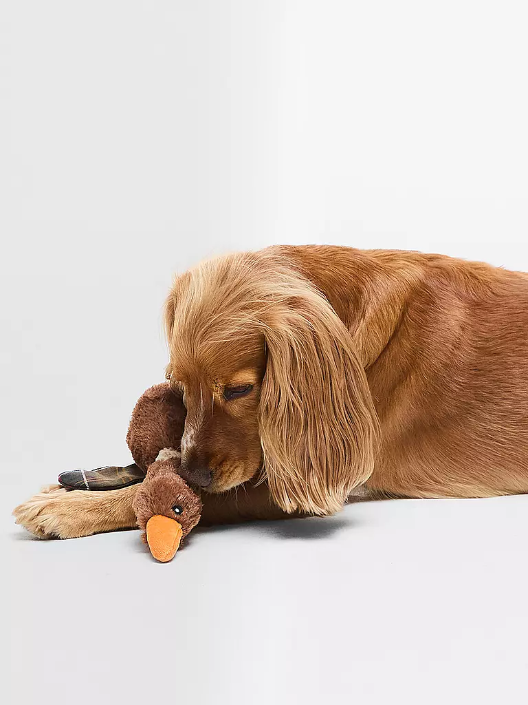 BARBOUR | Juguete para perro FLYING DUCK | Marrón