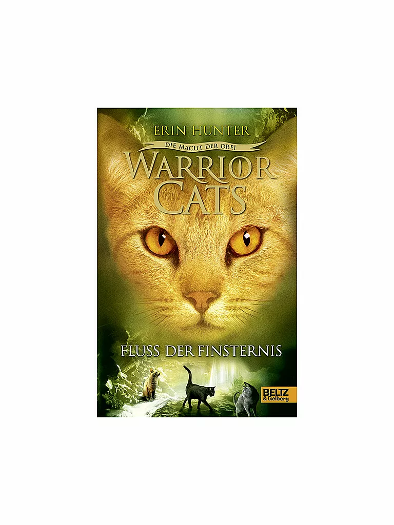 BELTZ & GELBERG VERLAG | Libro - Warrior Cats, El poder de los tres, Río de la Oscuridad | Sin color