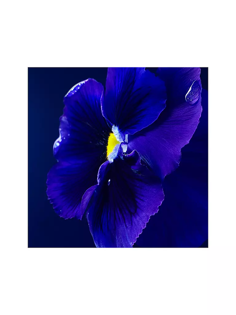 BOSS | Triumph Elixir 50ml | 