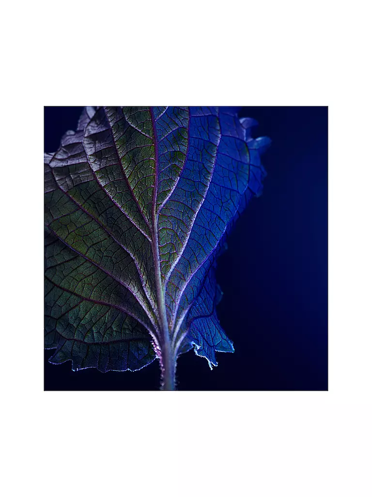 BOSS | Triumph Elixir 50ml | 