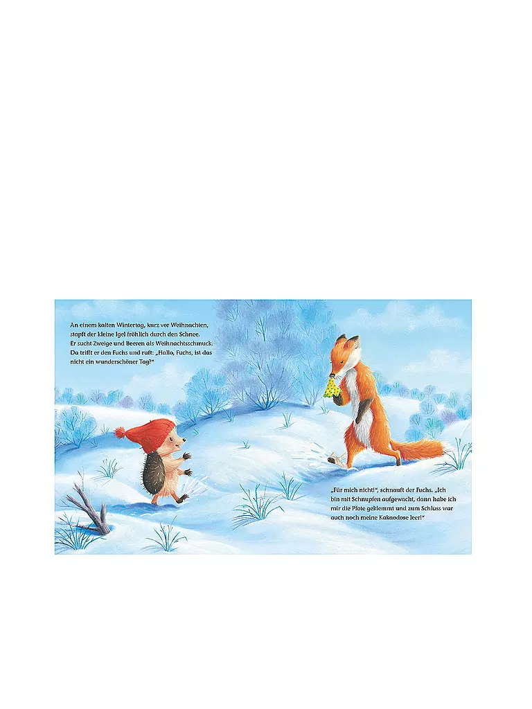 BRUNNEN VERLAG | Buch - Der kleine Igel und die abenteuerliche Suche | Sin color