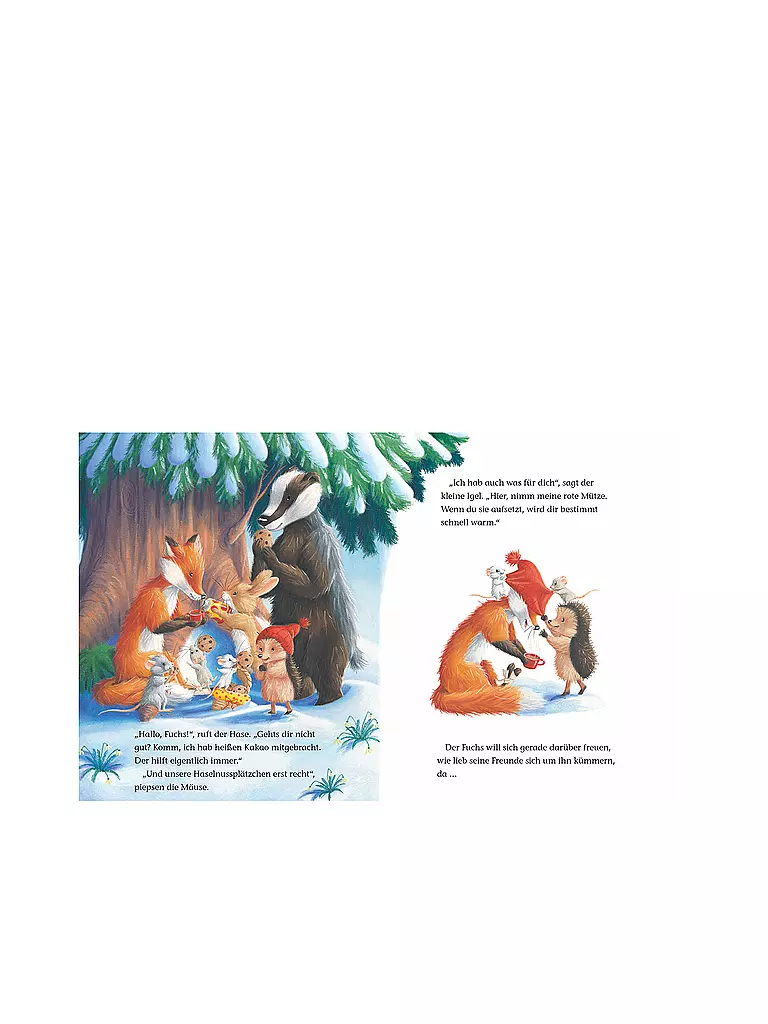 BRUNNEN VERLAG | Buch - Der kleine Igel und die abenteuerliche Suche | Sin color