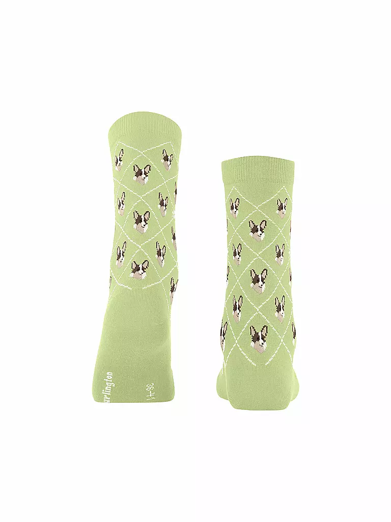 BURLINGTON | Socken Gr 36-41 lemon | Verde claro