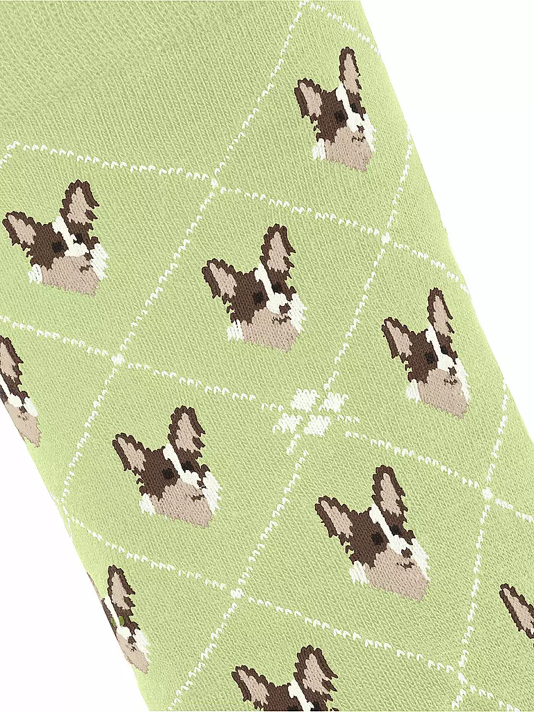 BURLINGTON | Socken Gr 36-41 lemon | Verde claro