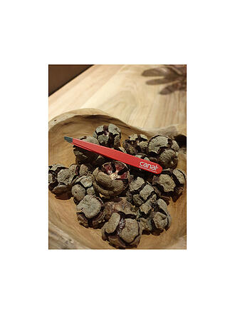 CANAL | Pinza de depilar inoxidable/inclinada 95mm (Rojo) 2011