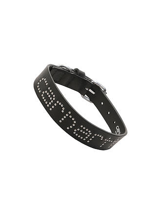 CARHARTT WIP | Collar para perro SCRIPT STUDS