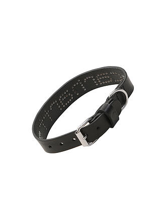 CARHARTT WIP | Collar para perro SCRIPT STUDS