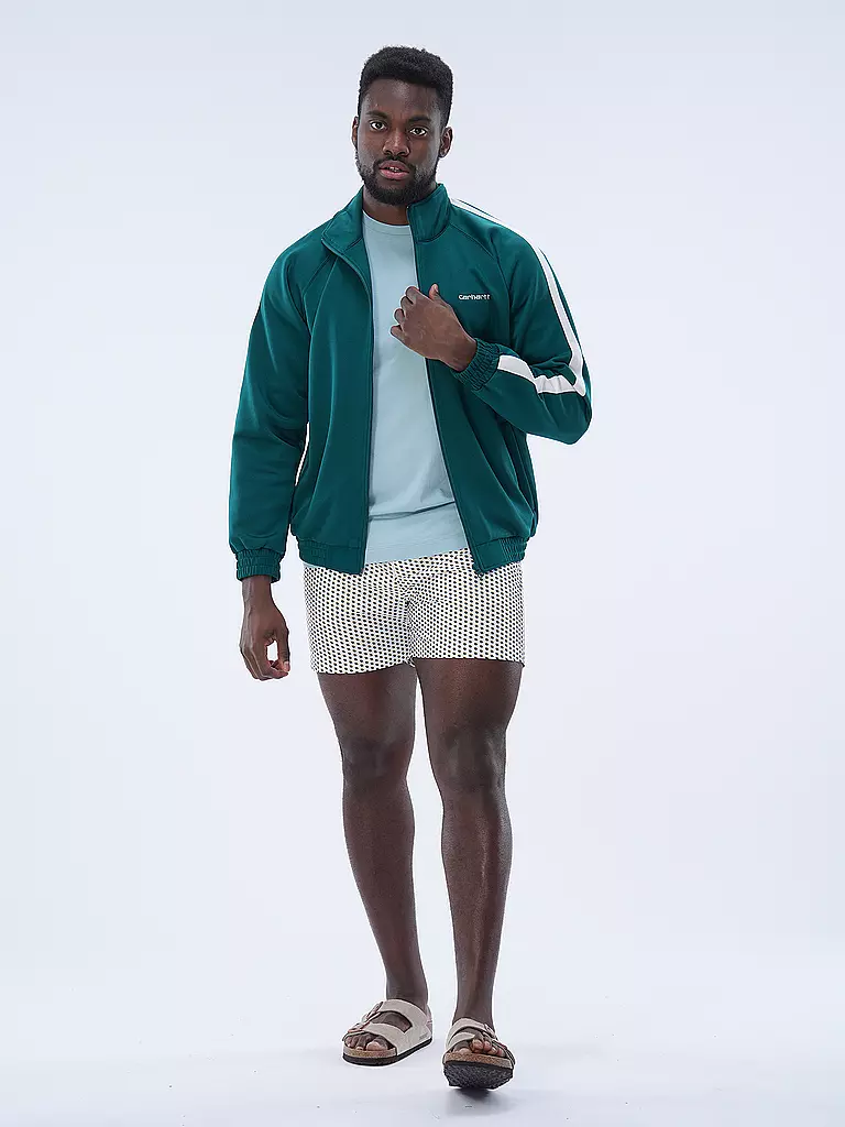 CARHARTT WIP | Sweatjacke  | Verde oscuro