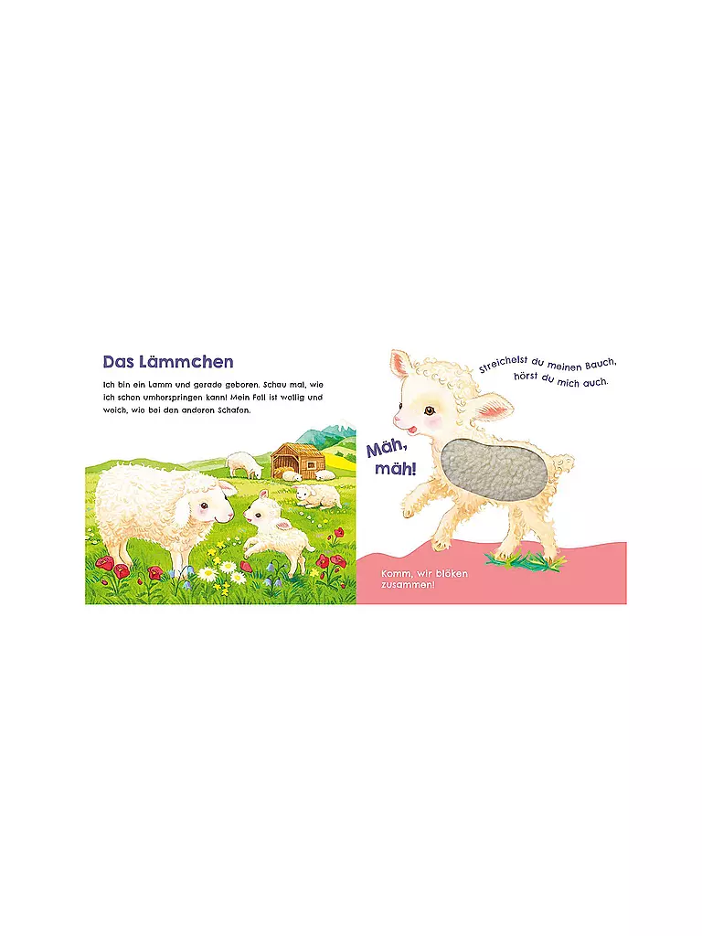 CARLSEN VERLAG | Escucha cómo puedo graznar (Mi primer libro de sonidos para acariciar 1) | Sin color