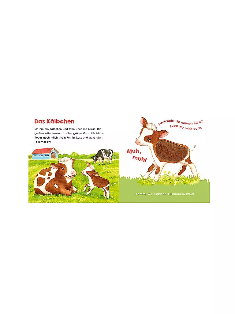 CARLSEN VERLAG | Escucha cómo puedo graznar (Mi primer libro de sonidos para acariciar 1) | Sin color