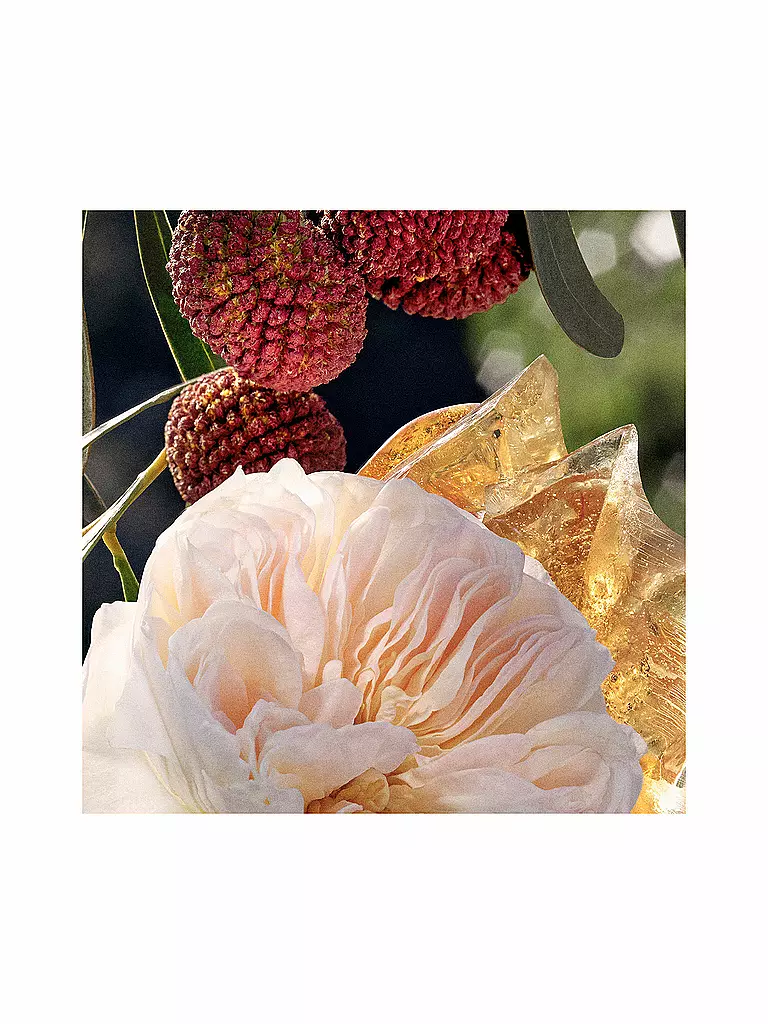 CHLOE | Chloé Eau de Parfum Spray Recarga 150ml | 