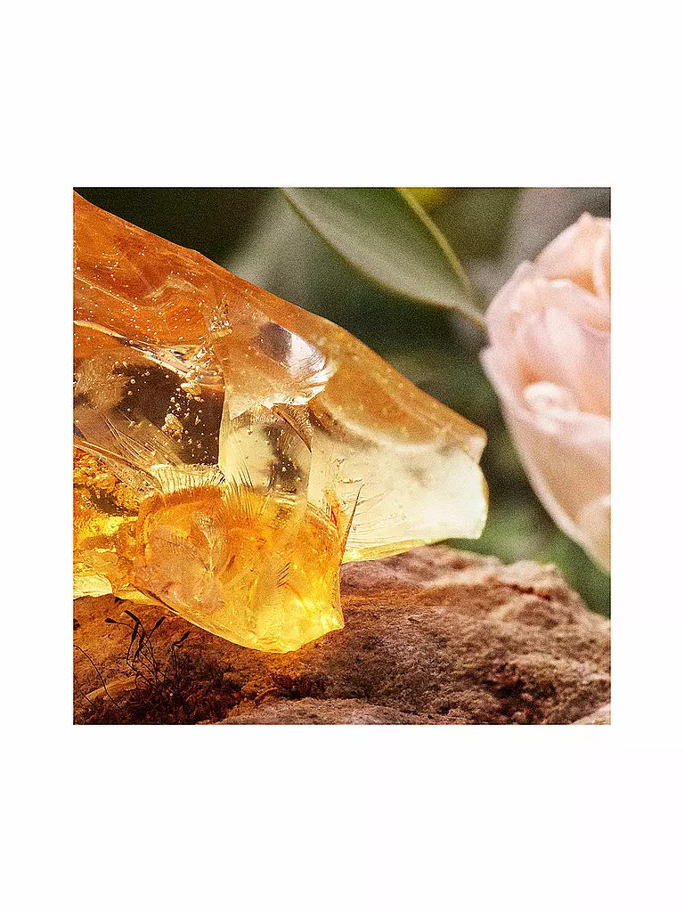 CHLOE | Chloé Eau de Parfum Spray Recargable 100ml | 