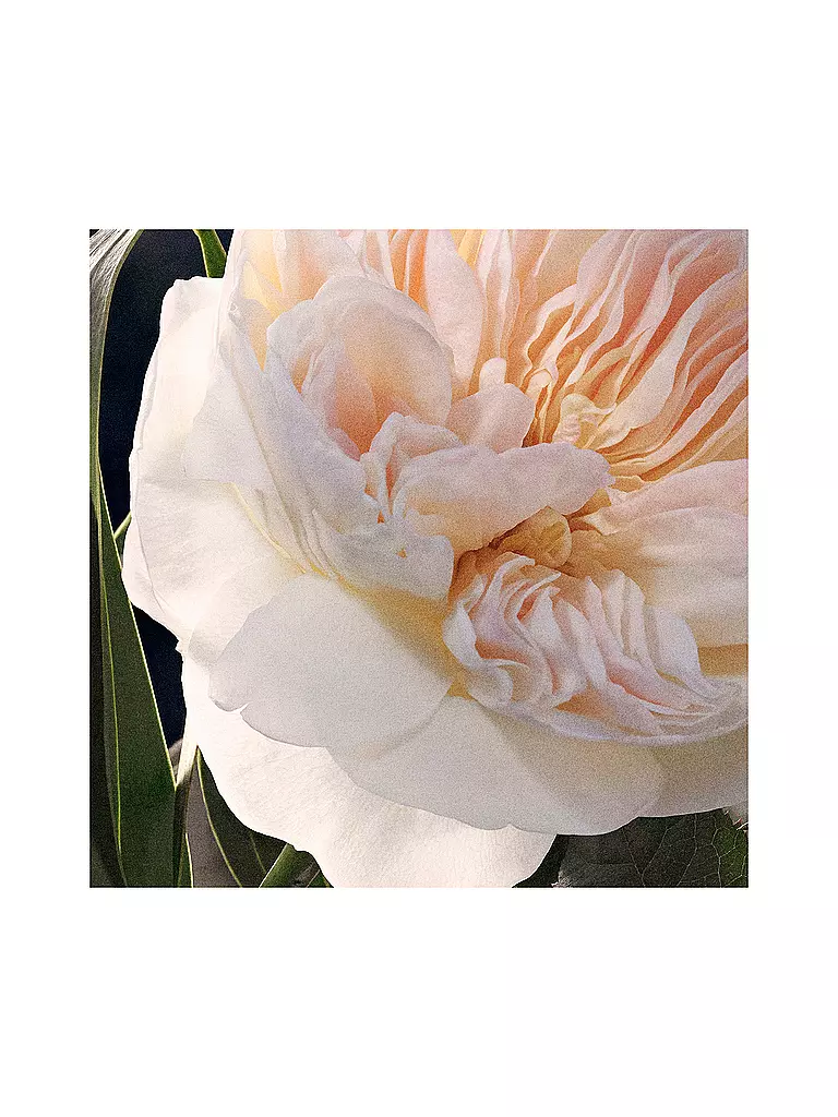 CHLOE | Chloé Eau de Parfum Spray Recargable 100ml | 