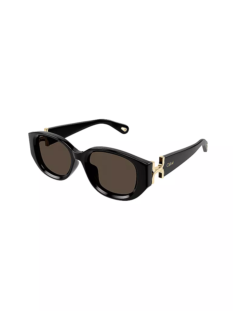 CHLOE | Gafas de sol CH0237SK | Negro