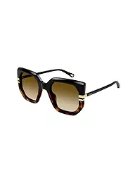 CHLOE | Gafas de sol CH0240S | Marrón