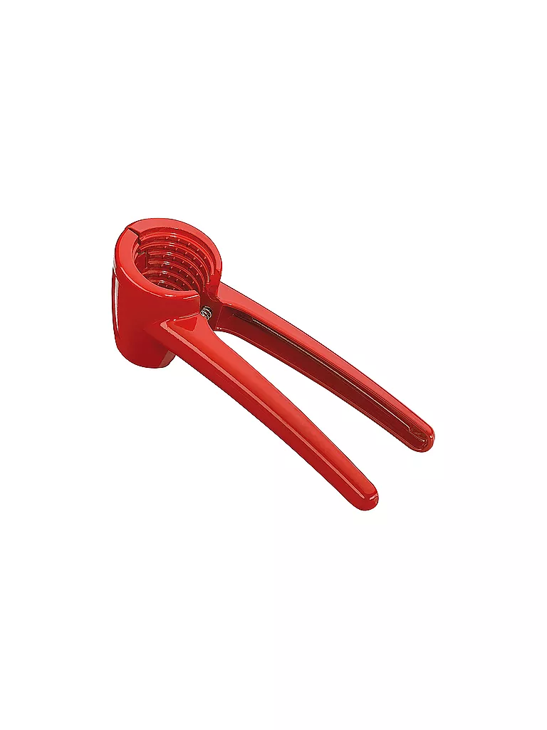 CILIO | Cascanueces KNACKI | Multicolor