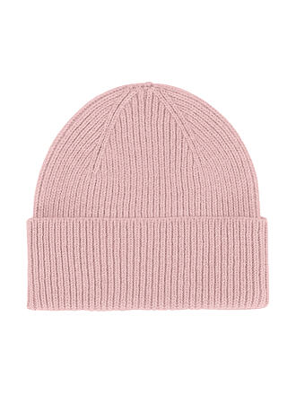 COLORFUL STANDARD | Gorro - Capucha